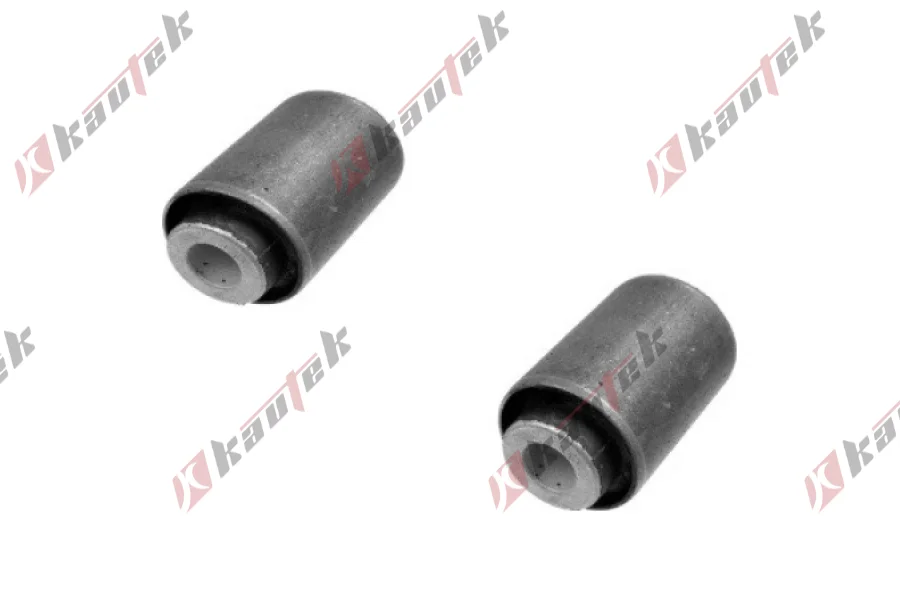 SALINCAK BURCU, SET IC ARKA