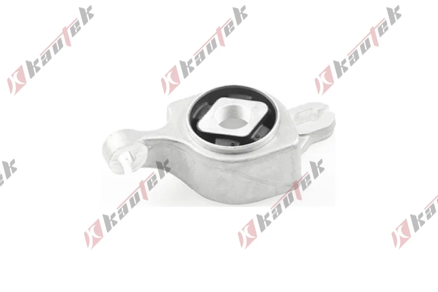 SALINCAK BURCU, ON SOL ALT DIS