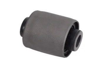 SALINCAK DENGE KOL BURCU, ARKA