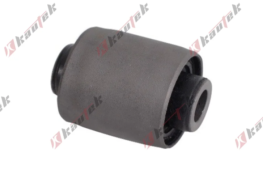 SALINCAK DENGE KOL BURCU, ARKA