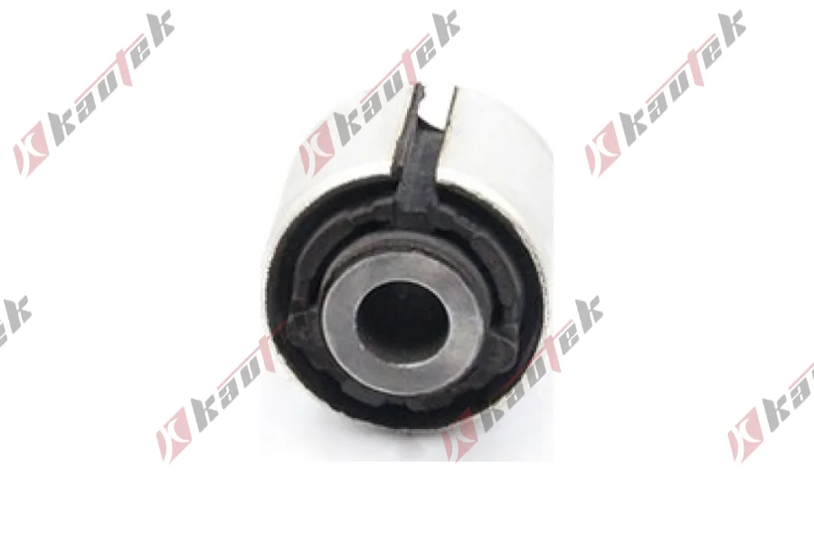 DENGE KOL BURCU, ARKA