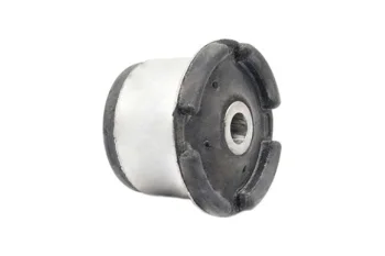 SALINCAK BURCU BUYUK ON