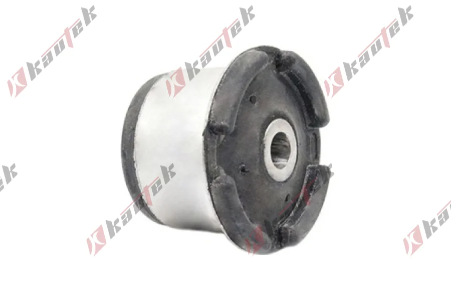 SALINCAK BURCU BUYUK ON