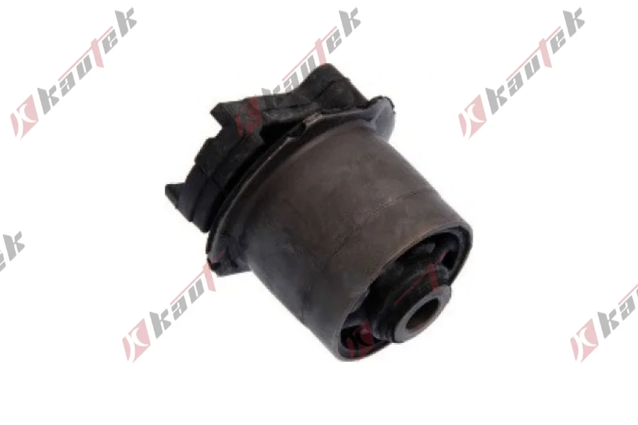 SALINCAK DENGE KOL BURCU, ARKA