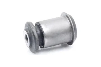 SALINCAK BURCU, ARKA