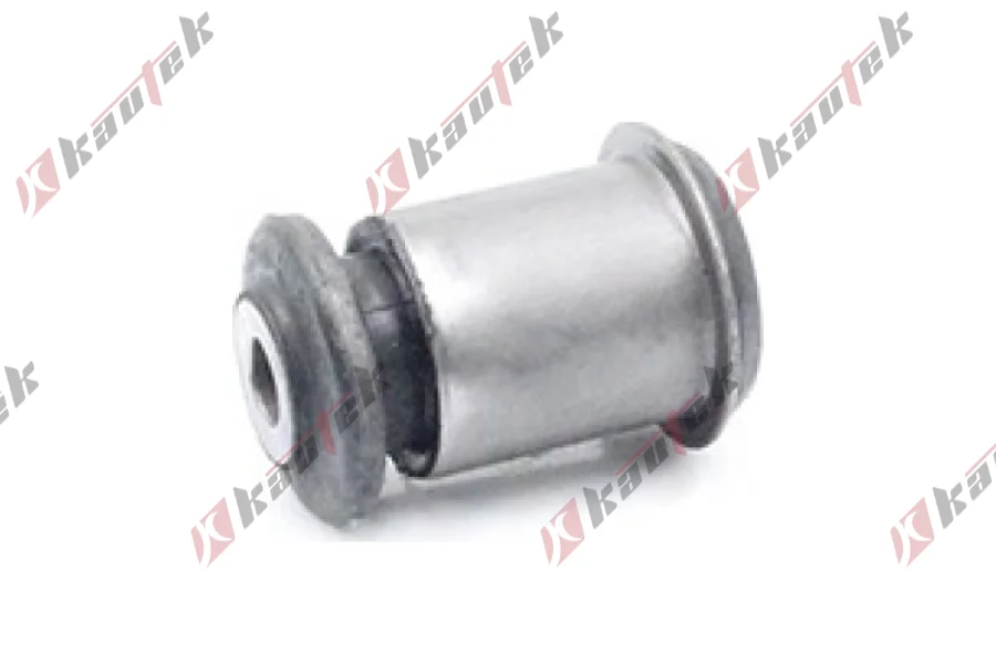 SALINCAK BURCU, ARKA