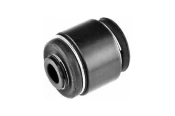 SALINCAK DENGE KOL BURCU, ARKA