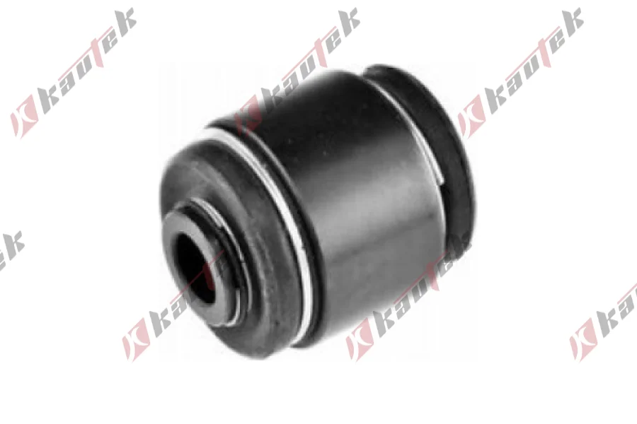 SALINCAK DENGE KOL BURCU, ARKA