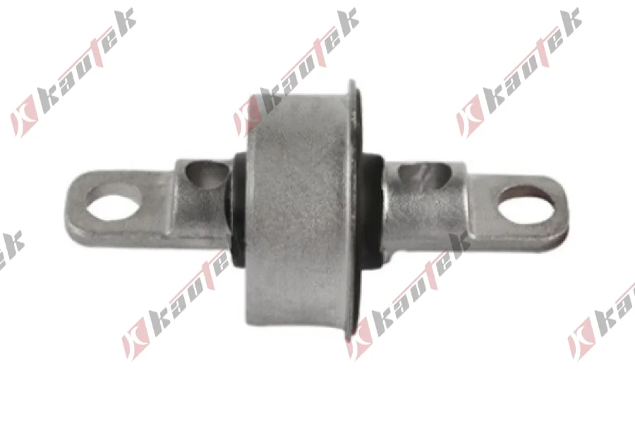 SALINCAK DENGE KOL BURCU, ARKA