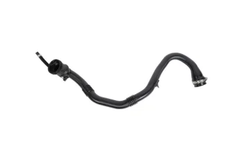 TERMOSTAT  HORTUMLARI