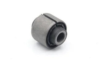 SALINCAK BURCU, ARKA