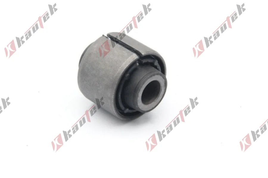 SALINCAK BURCU, ARKA