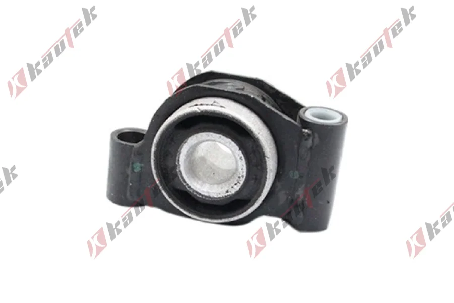 SALINCAK DENGE KOL BURCU, ON