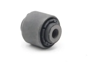 SALINCAK BURCU, ARKA