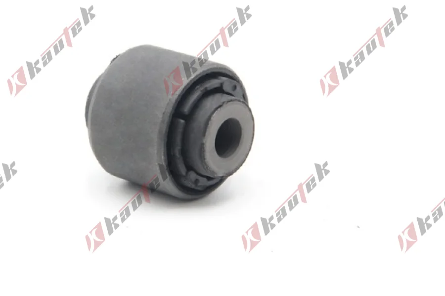 SALINCAK BURCU, ARKA