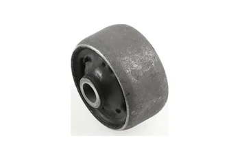 SALINCAK DENGE KOL BURCU, ARKA