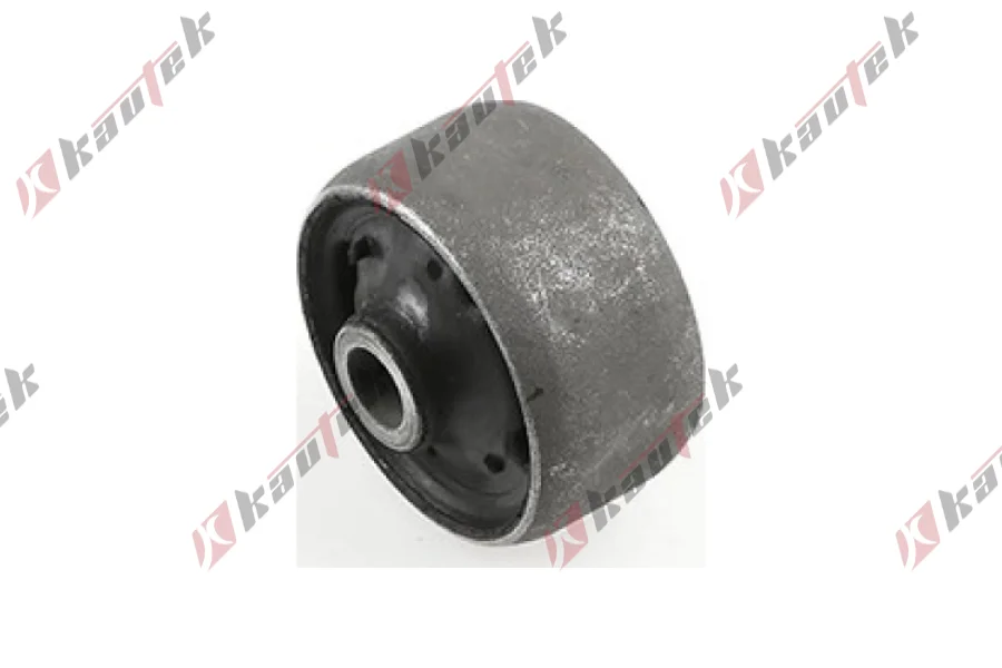 SALINCAK DENGE KOL BURCU, ARKA