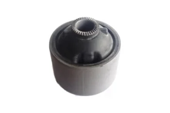 SALINCAK BURCU, BUYUK