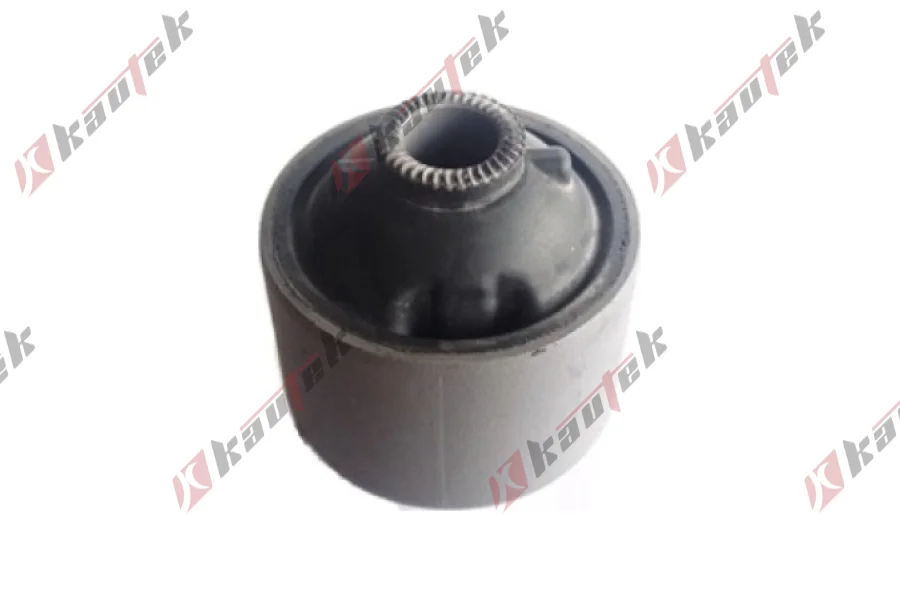 SALINCAK BURCU, BUYUK