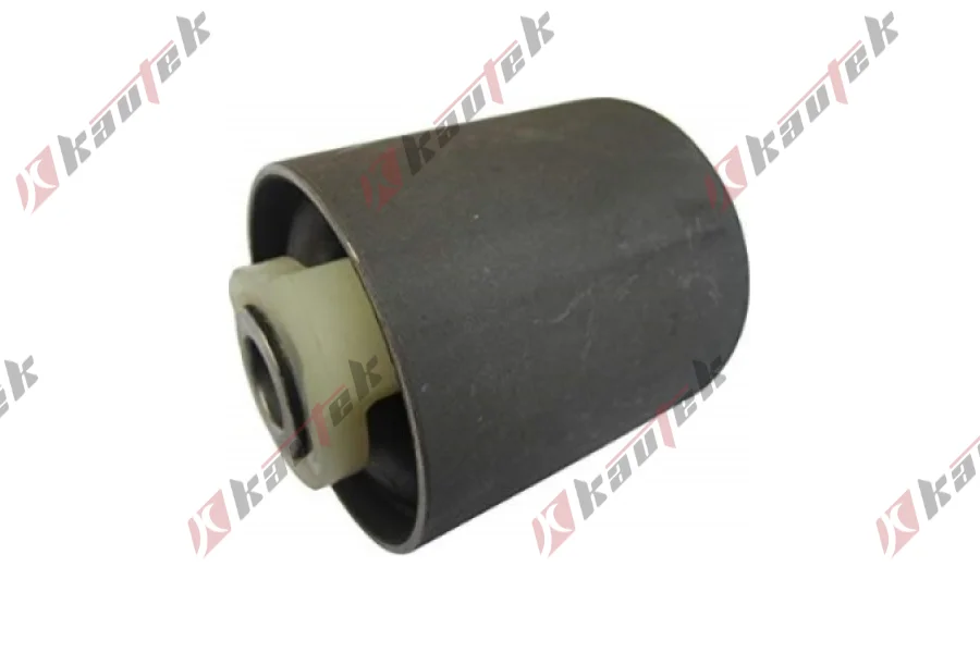 SALINCAK - DENGE KOLU BURCU, ARKA