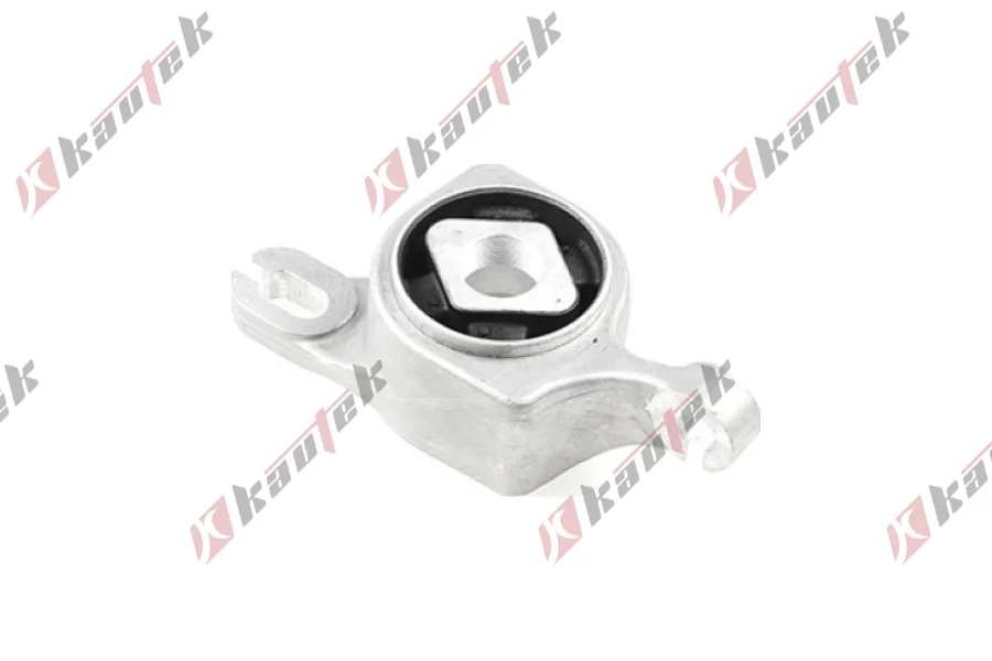 SALINCAK BURCU, ON SAG ALT DIS