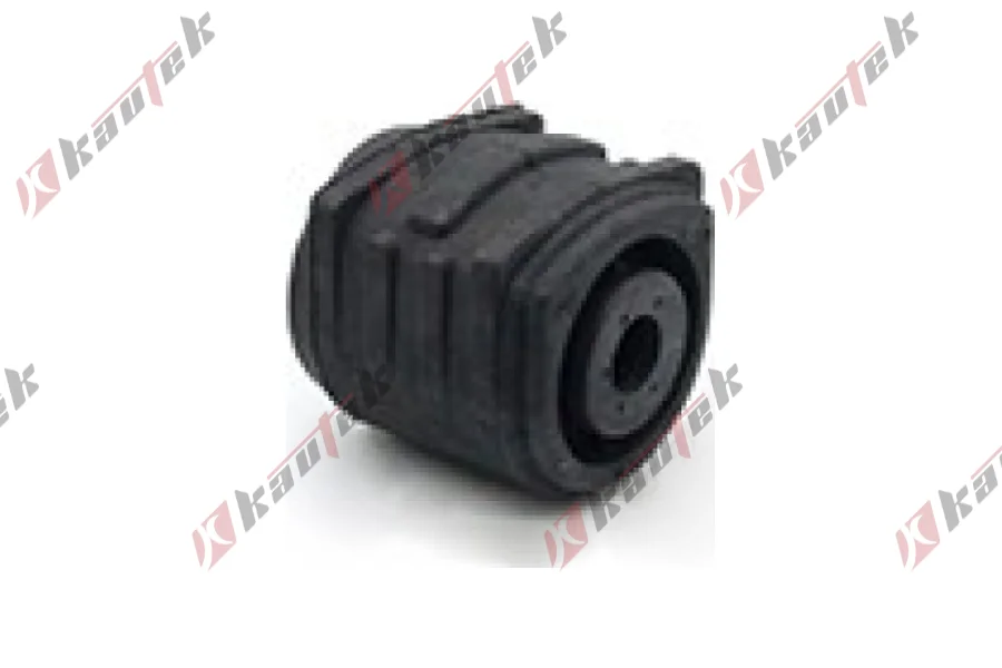 SALINCAK BURCU BUYUK, SOL