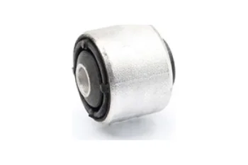 SALINCAK - DENGE KOL BURCU, ARKA