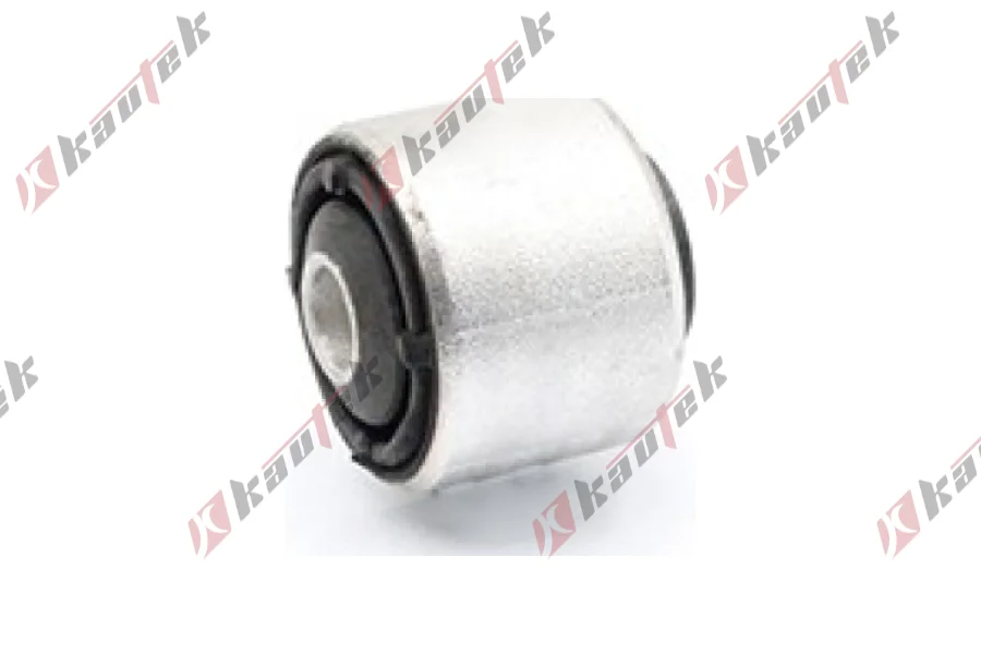 SALINCAK - DENGE KOL BURCU, ARKA