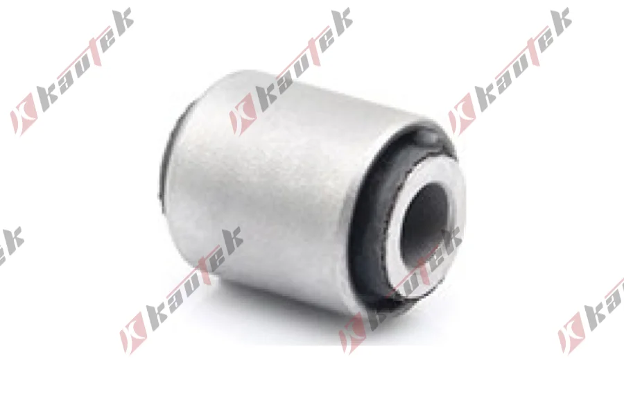 SALINCAK DENGE KOL BURCU, ARKA UST