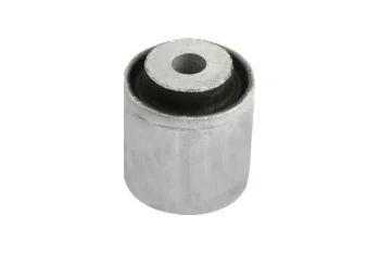 SALINCAK DENGE KOL BURCU, KUCUK, ARKA