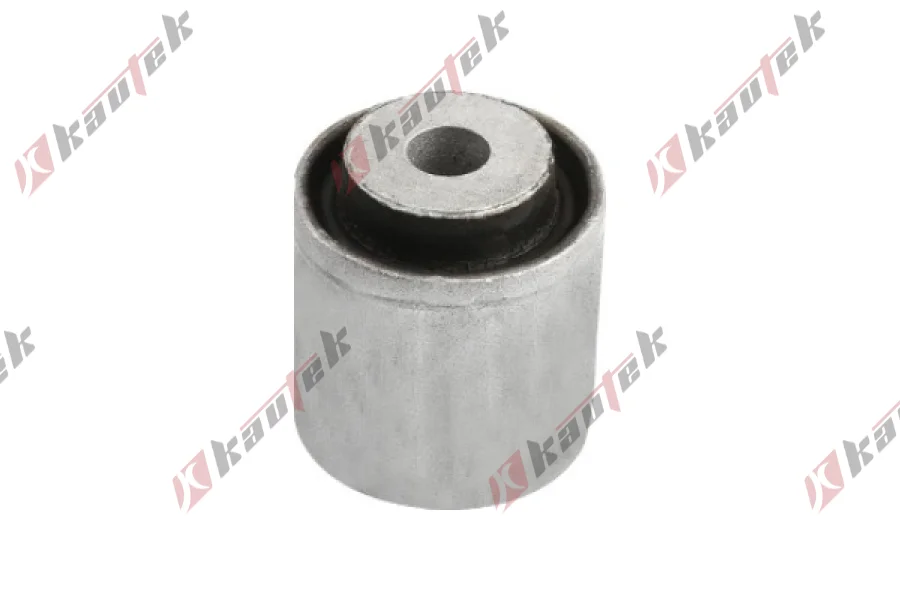 SALINCAK DENGE KOL BURCU, KUCUK, ARKA