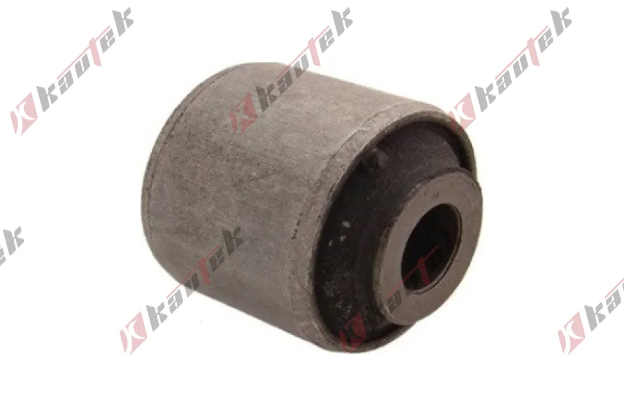 SALINCAK DENGE KOL BURCU, ARKA, ALT