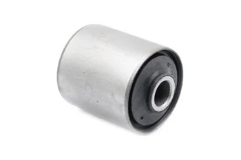 SALINCAK BURCU, ARKA AKS