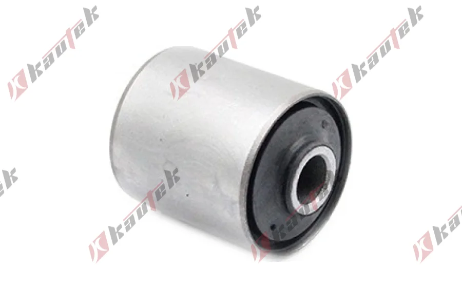 SALINCAK BURCU, ARKA AKS