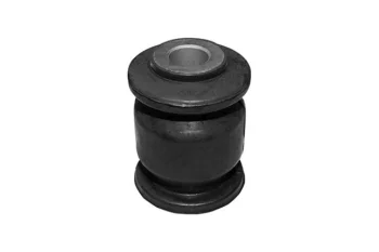 SALINCAK BURCU ORTA KUCUK