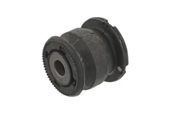 SALINCAK - DENGE KOLU BURCU, ARKA SAG / SOL