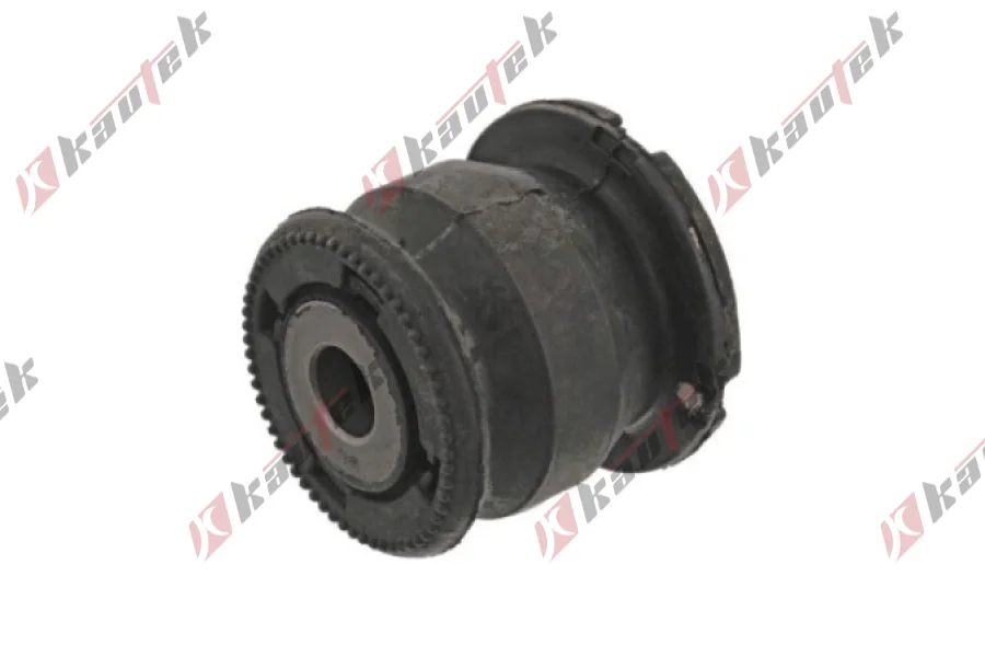 SALINCAK - DENGE KOLU BURCU, ARKA SAG / SOL