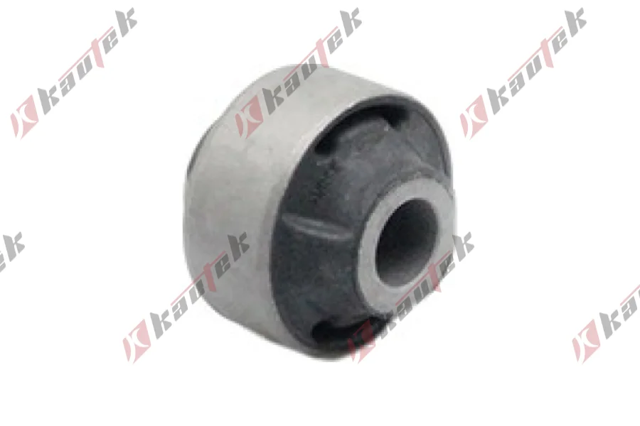 SALINCAK DENGE KOL BURCU, ARKA SAG / SOL