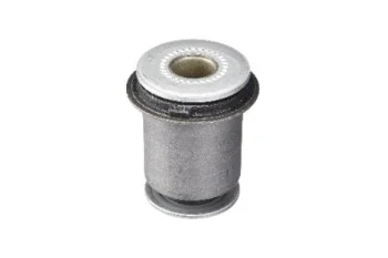 SALINCAK DENGE KOL BURCU, ARKA