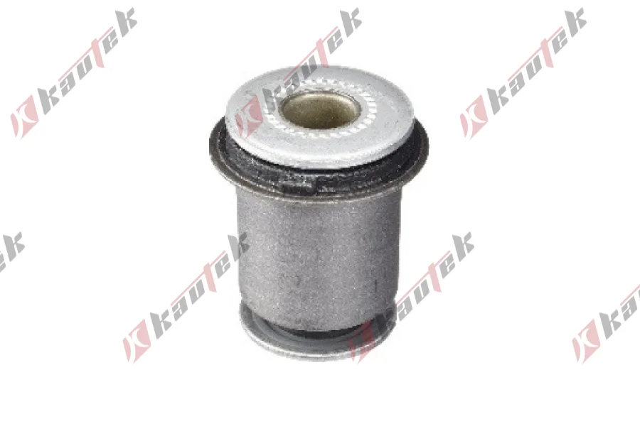 SALINCAK DENGE KOL BURCU, ARKA