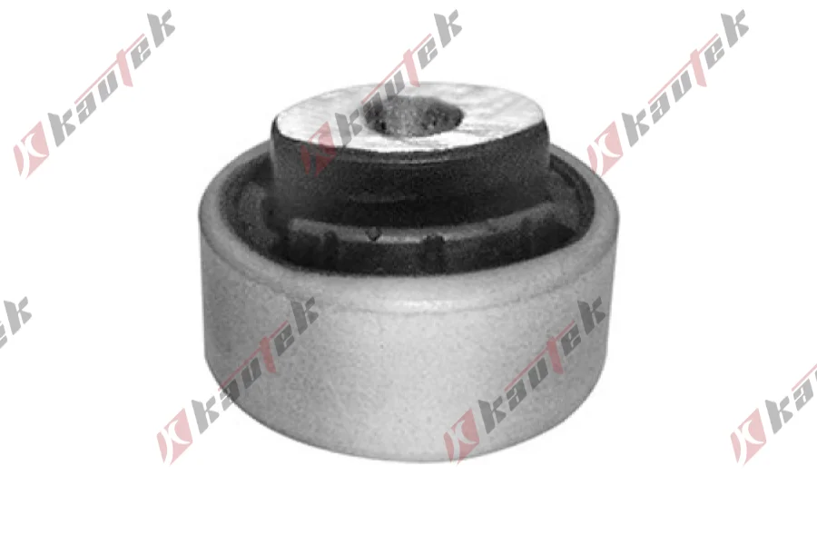 SALINCAK BURCU ARKA BUYUK