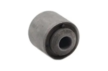 SALINCAK - DENGE KOLU BURCU, ARKA SAG / SOL