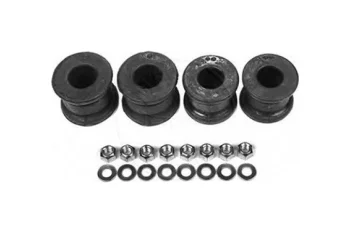 VIRAJ DEMIR LASTIGI TAKIM