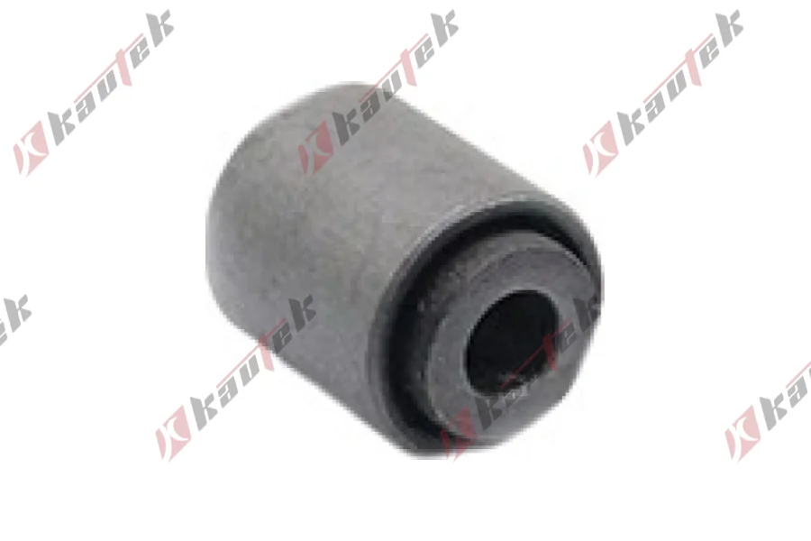 DENGE KOLU BURCU, ARKA