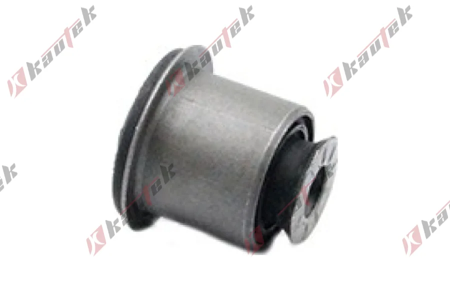 SALINCAK DENGE KOL BURCU, ARKA