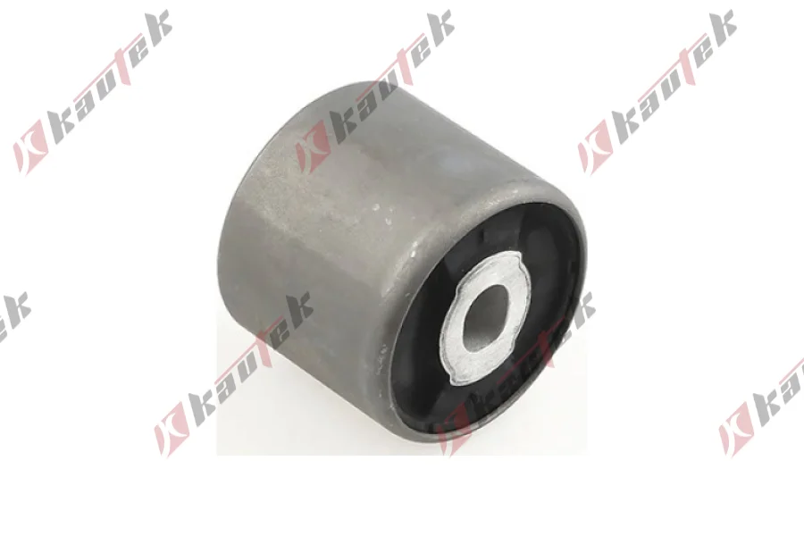 TORSIYON BURCU ARKA ORTA