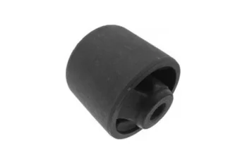 SALINCAK - DENGE KOLU BURCU, ARKA SAG / SOL