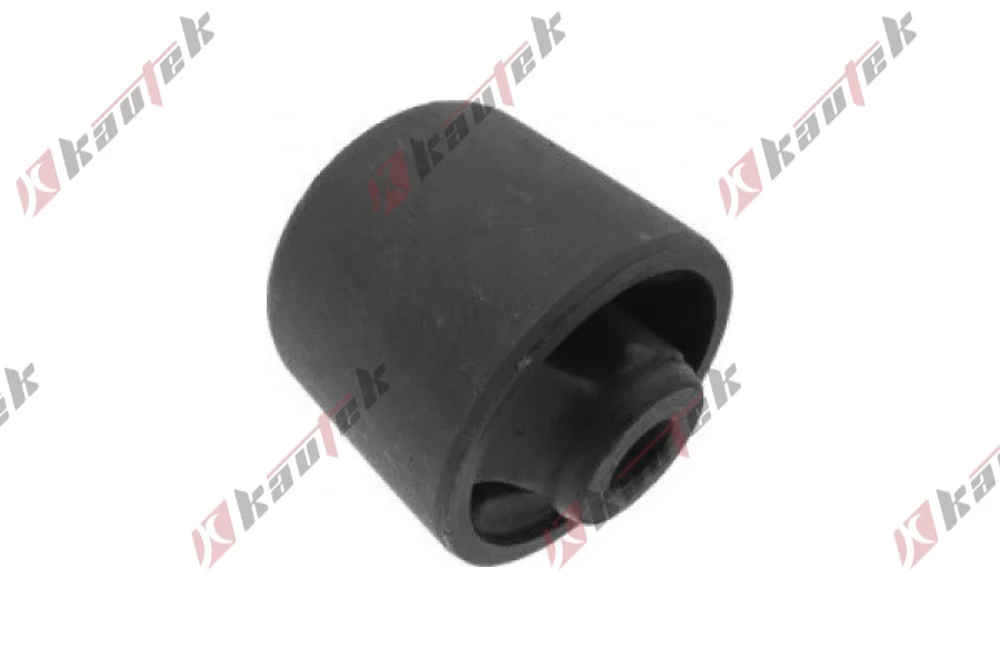 SALINCAK - DENGE KOLU BURCU, ARKA SAG / SOL