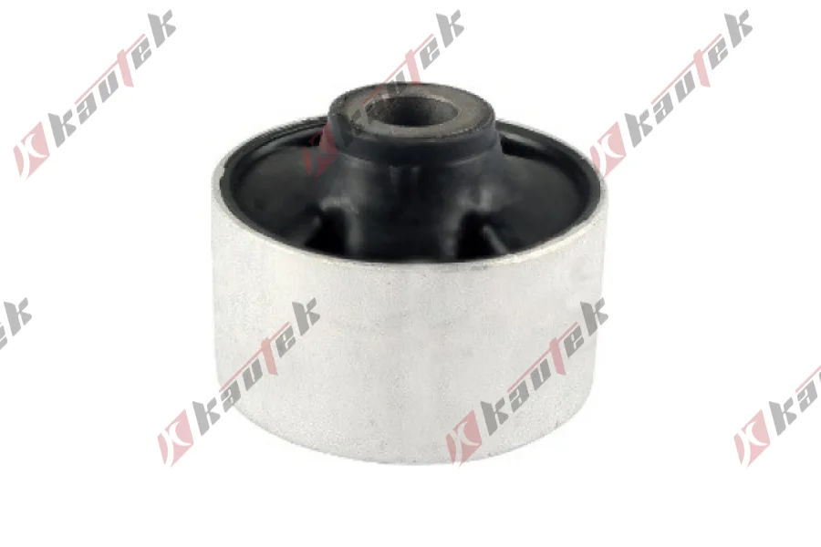 SALINCAK BURCU, BUYUK