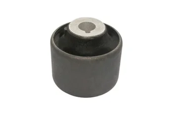 SALINCAK BURCU, ARKA